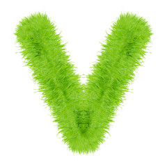 Grass letter on white background