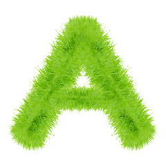 Grass letter on white background
