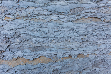 Stone pavement texture background
