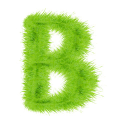 Grass letter on white background