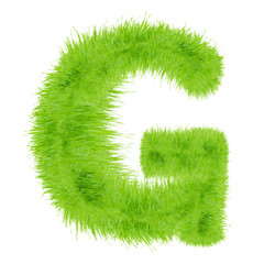 Grass letter on white background