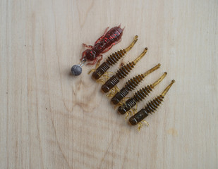 Colorful silicone fishing baits with plummets on wooden table. Various fish and worms and crayfish....