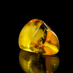A unique piece of solar amber on a black background.