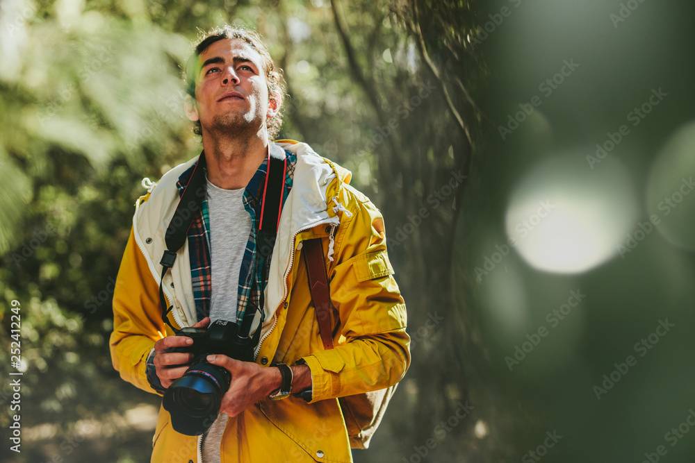 Wall mural traveler exploring a forest