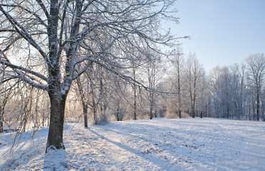 Koporskaya Fortress. Russia.