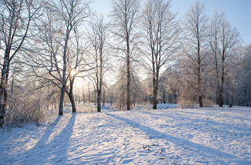 Koporskaya Fortress. Russia.