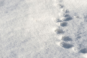 Obraz premium The texture of the snow close up. WInter background