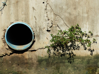 Drain water - allow to drain into the canal