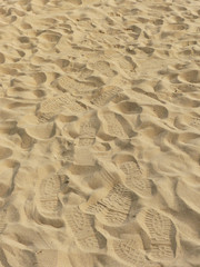 footprints on the sand of a beach