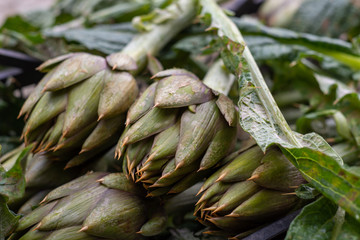 Carciofi spinosi sardi