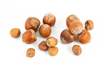 Hazelnut isolated on white background