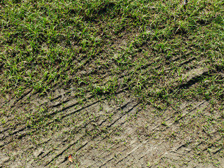 Muddy tire track on the grass way