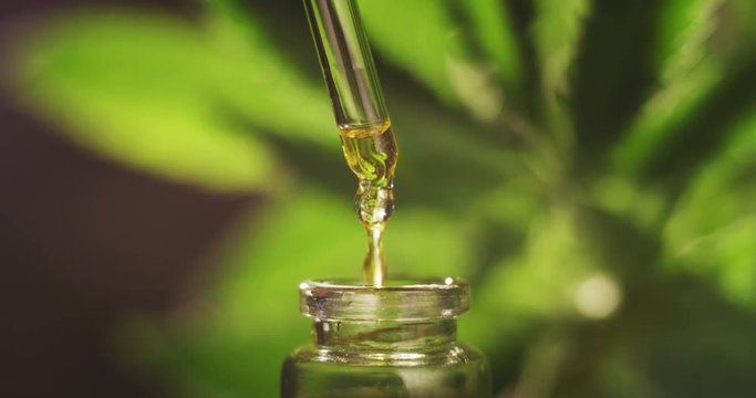 Slow motion of macro close up of droplet dosing a biological and ecological hemp plant herbal pharmaceutical cbd oil from a jar.