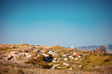 Fototapeta na wymiar Paphos archaeological park in spring 