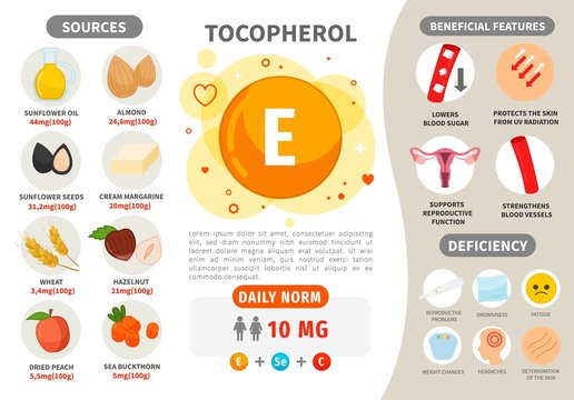 Infographics Vitamin E. Products containing vitamin. Daily norm. Symptoms of deficiency. Vector medical poster.