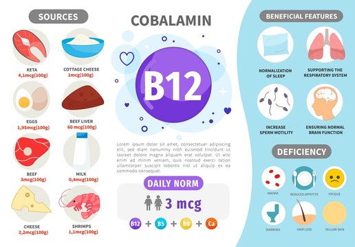 Infographics Vitamin B12. Products containing vitamin. Daily norm. Symptoms of deficiency. Vector medical poster.