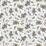 Hand drawn pine branches watercolor seamless pattern, realistic illustration. Woodland pattern on white background.