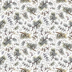 Hand drawn pine branches watercolor seamless pattern, realistic illustration. Woodland pattern on white background.