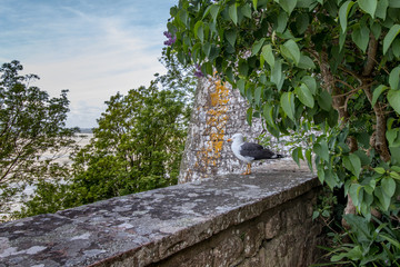 Mont Saint-Michel, France