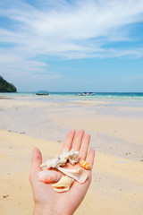 oceano coralli vacanza © Kateryna Kovarzh