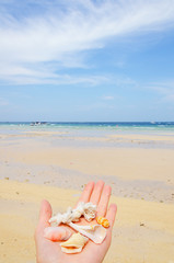 marea bassa coralli tailandia vacanza