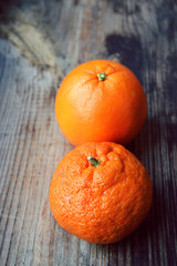 Set of citrus fruits from tangerines, kumquats, oranges and lemons