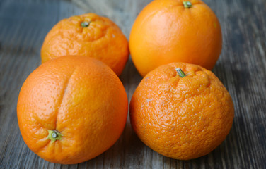 Set of citrus fruits from tangerines, kumquats, oranges and lemons