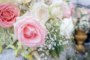 Many light roses