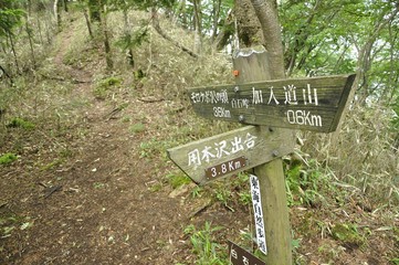 丹沢の道 白石峠