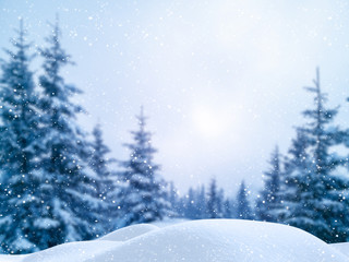 Winter Christmas scenic background with copy space. Blurred snow landscape with spruce branches covered with snow, snowdrifts and falling snow.