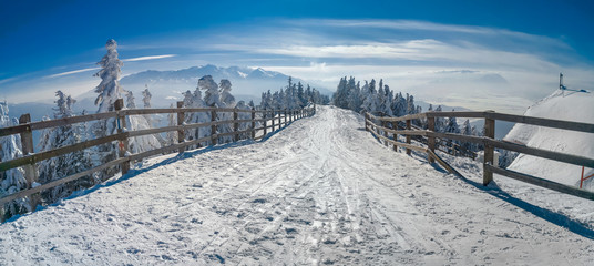 Winter snow wonderland landscape. Christmas scenic background with mountains, trees and road...