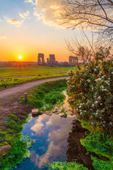 Fototapety na wymiar - Fototapeta24.pl