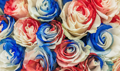 A bouquet of motley, large roses with multi-colored petals white, blue and red color.