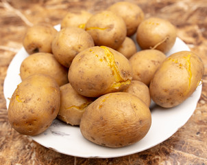 Boiled potatoes in a plate on the table