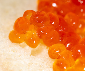 Red caviar on bread as a background