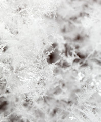 White snowflakes on nature as a background