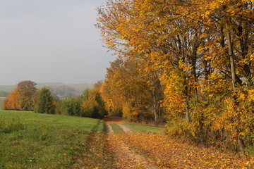 Naklejka premium herbst