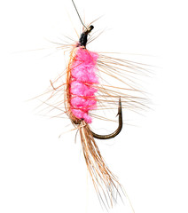 Feathers on a hook for fishing on a white background