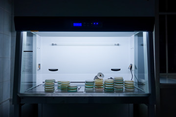 Sterile microbiological cabinet with petri dishes inside. Microbiological safety cabinets....