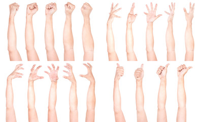 Multiple Male Caucasian hand gestures isolated over the white background, set of multiple images.