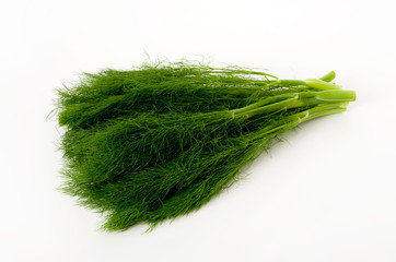 フェンネル（ウイキョウ）