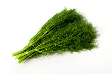 フェンネル（ウイキョウ）