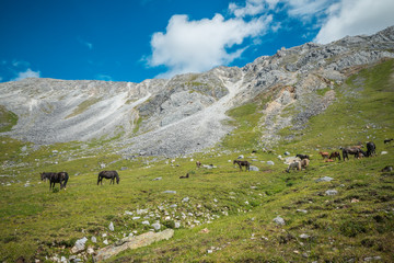 The mountains. Height. beauty