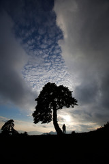 Amazing Nature Landscape and a man