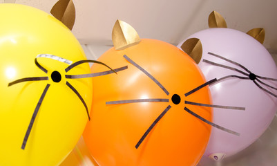 Balloons like cats