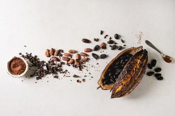 Variety of fresh and dry cocoa beans from cocoa pod with chopped dark chocolate and cocoa powder over white texture background. Flat lay, space