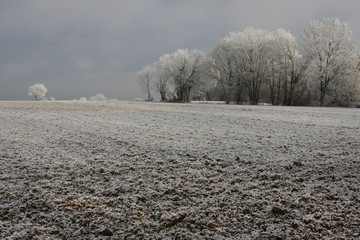 raureif