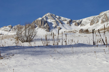 paesaggio innevato