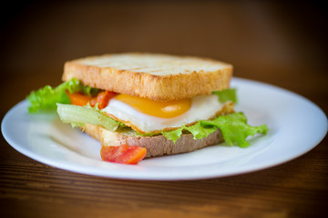 fresh sandwich with lettuce leaves and fried egg with hot toasts