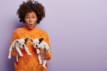 Shocked African American female seller of dogs, holds two tender calm small puppies with black and...